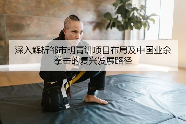 shen-ru-jie-xi-zou-shi-ming-qing-xun-xiang-mu-bu-ju-ji-zhong-guo-ye-yu-quan-ji-de-fu-xing-fa-zhan-lu-jing-1-259.jpg